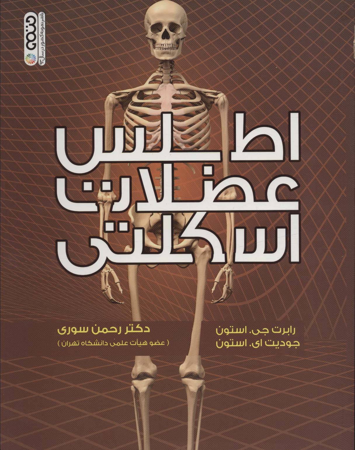 اطلس عضلات اسکلتی