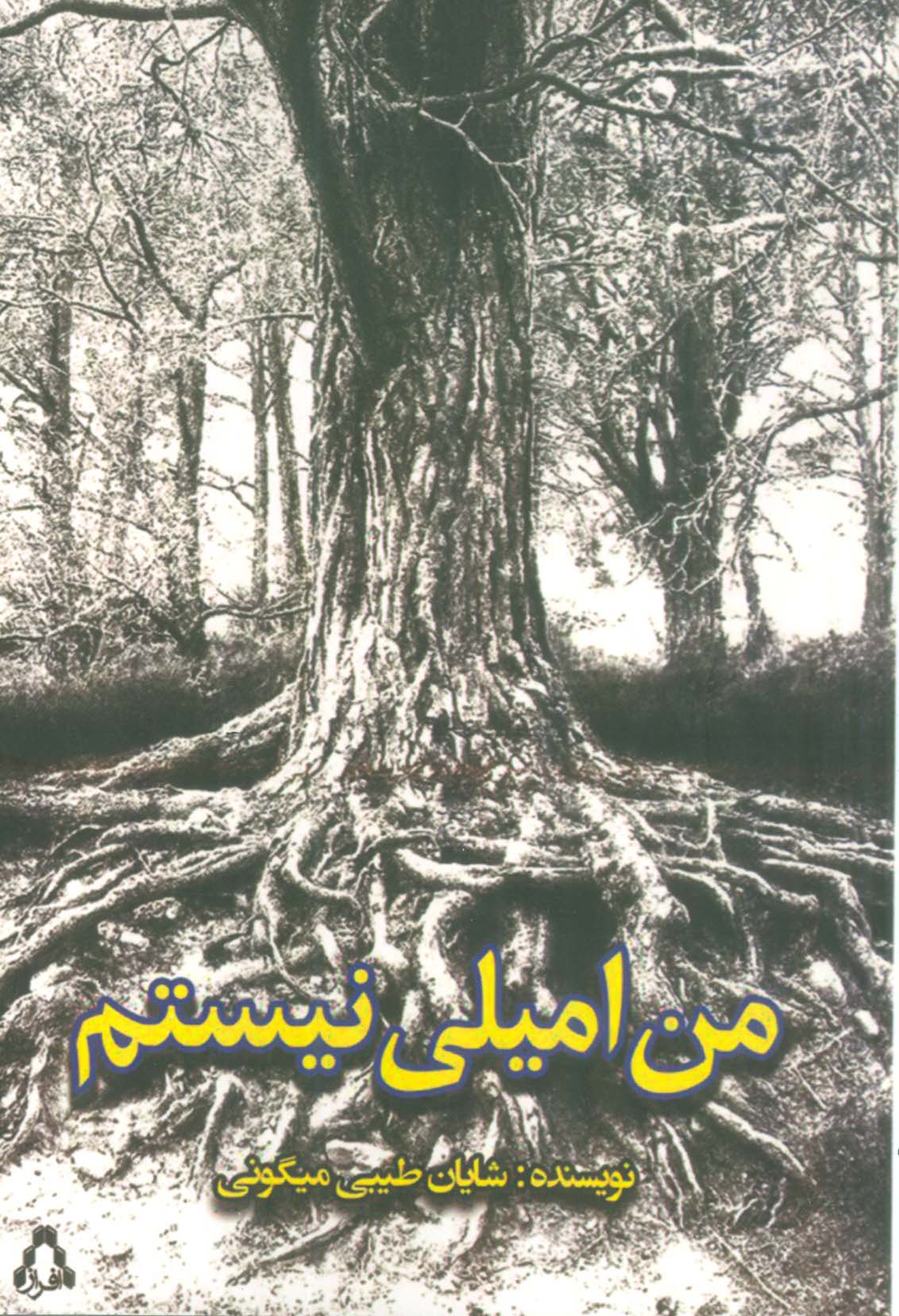 من امیلی نیستم