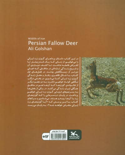 گوزن زرد ایرانی (حیات وحش ایران)