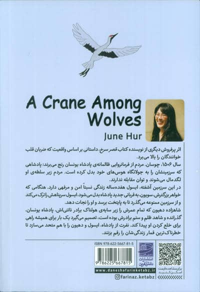 درنایی در میان گرگ ها