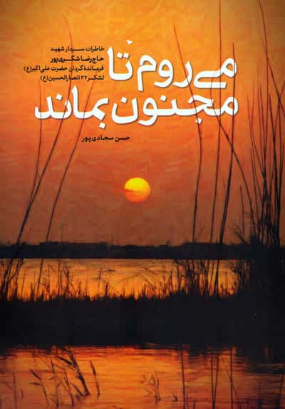 می روم تا مجنون بماند (خاطرات سردار شهید حاج رضا شکری پور)