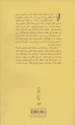 آقای لینکلن جوان 