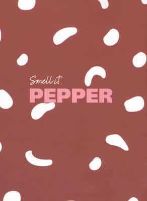دفتر یادداشت طرح PEPPER (کد 081)