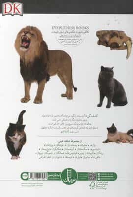گربه سانان (شاهد عینی)،(گلاسه)