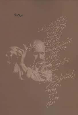 منظومه ی زندانی در دانمارک 