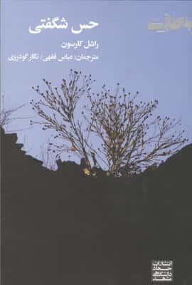 حس شگفتی