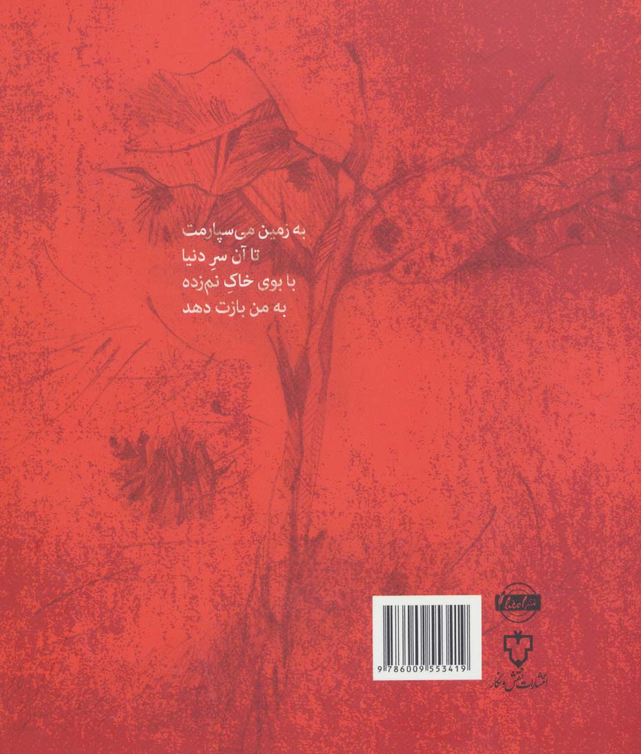 از تیغ ماهی