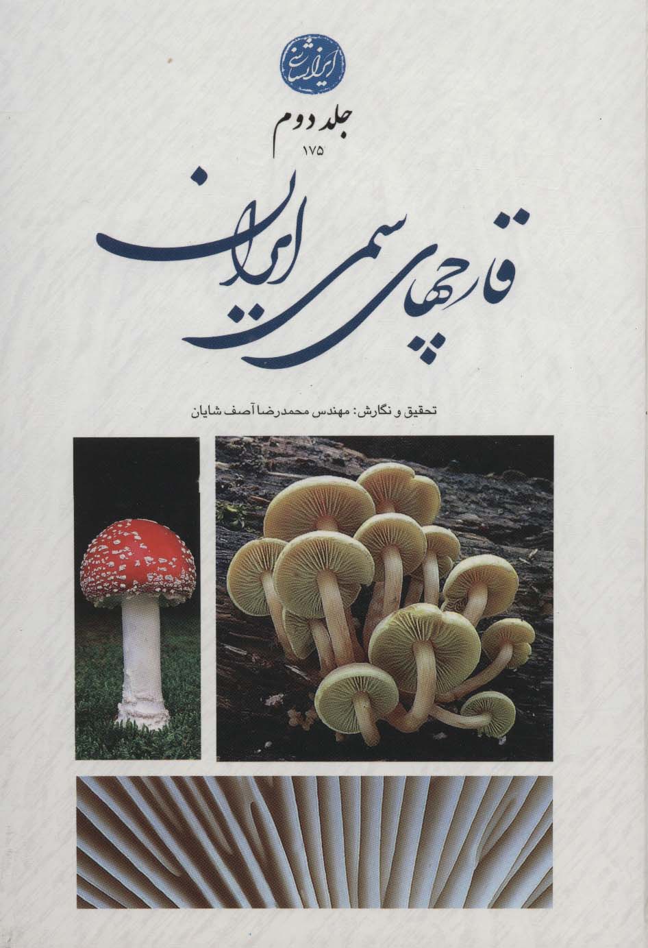 قارچ های سمی ایران 2 (گلاسه)