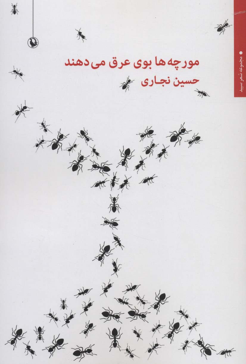 مورچه ها بوی عرق می دهند (شعر سپید)