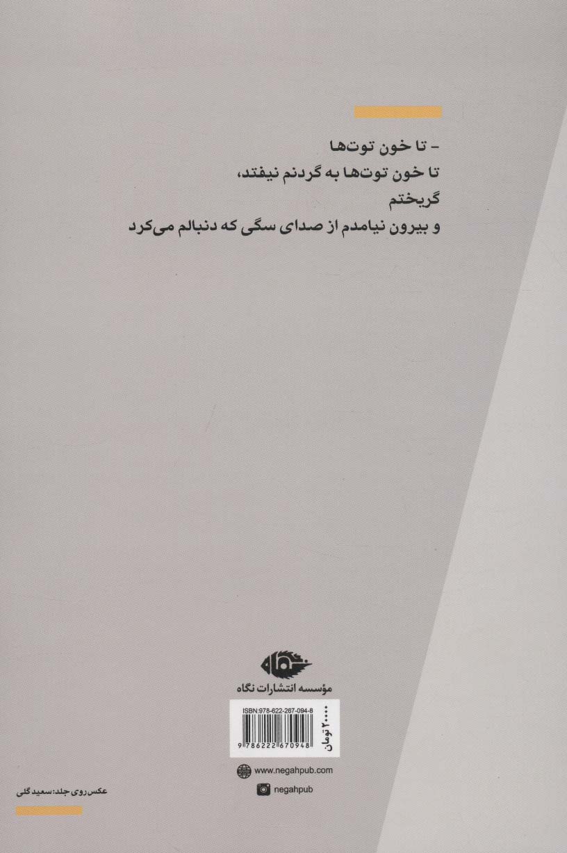 آب تا زانوی مترسک (مجموعه شعر)