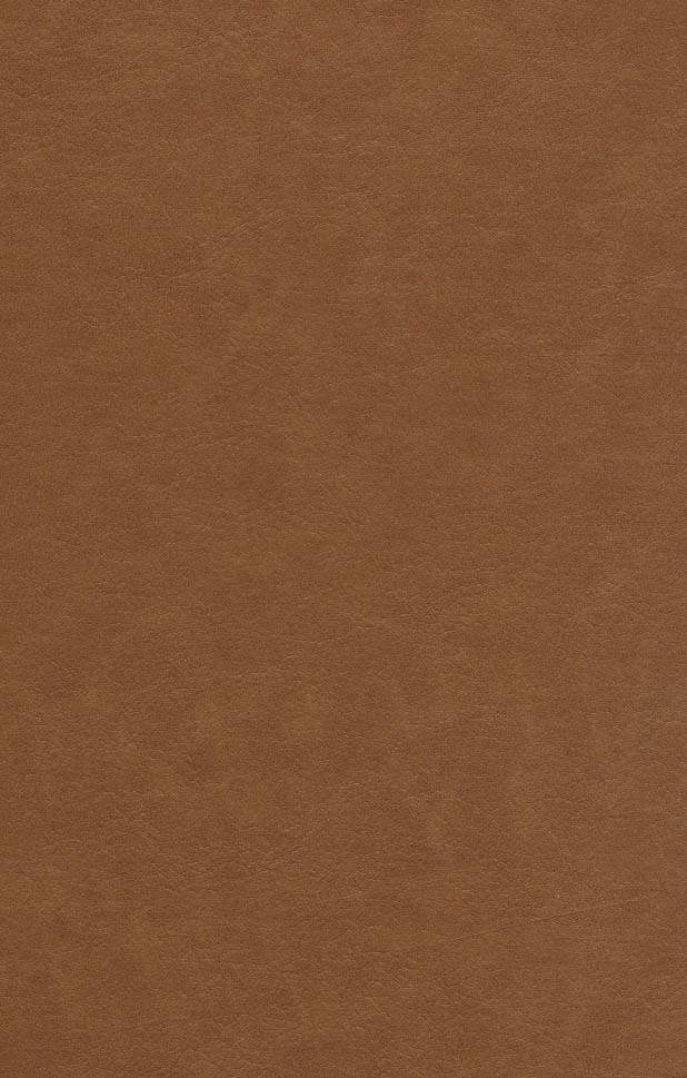 کلیات سعدی آسان خوان (چرم)