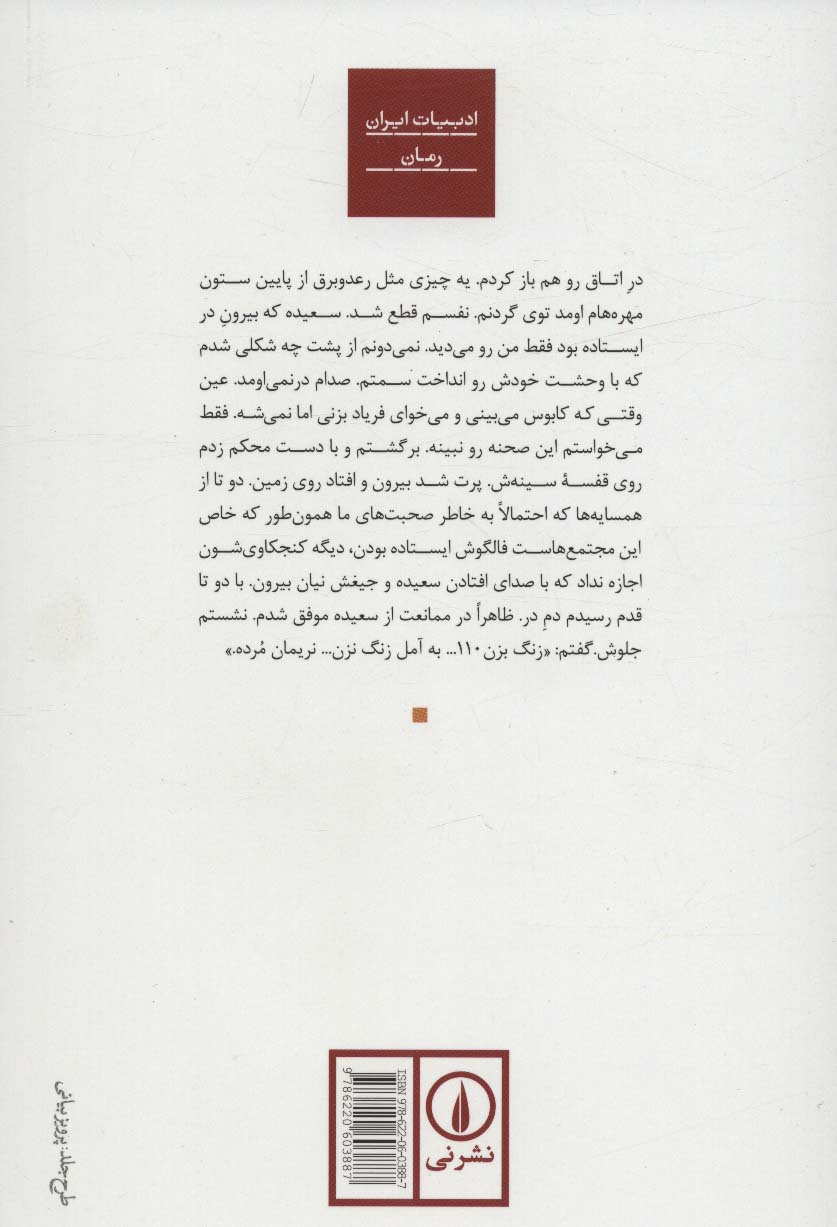 شهری زیر خاکستر (ادبیات ایران)