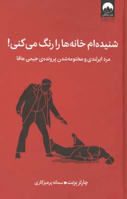 شنیده ام خانه ها را رنگ می کنی! (مرد ایرلندی و مختومه شدن پرونده ی جیمی هافا)