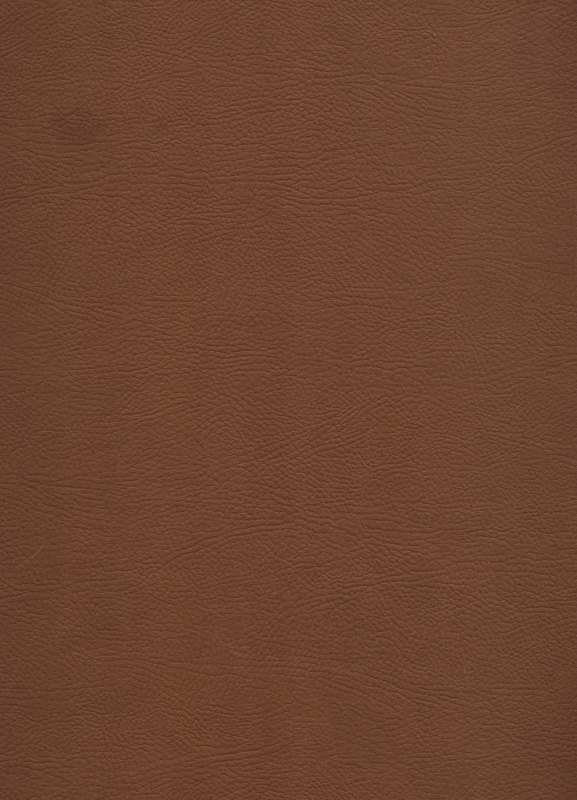 دیوان حافظ (2زبانه،گلاسه،باقاب،چرم)